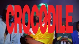 AOPDH – Crocodile